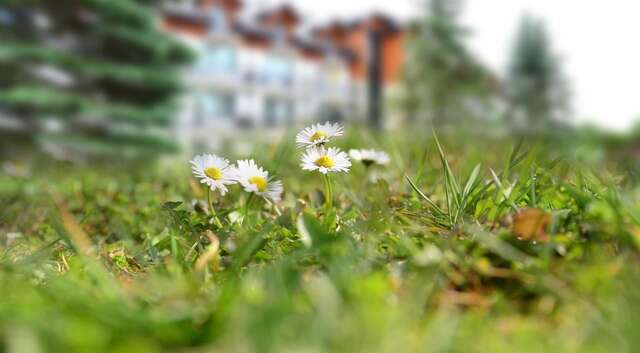 Отель Hotel Skalny Spa Bieszczady Полянчик-30